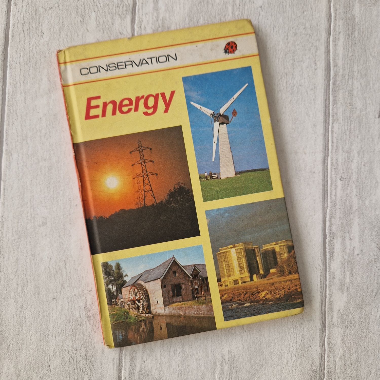 Energy Ladybird Book