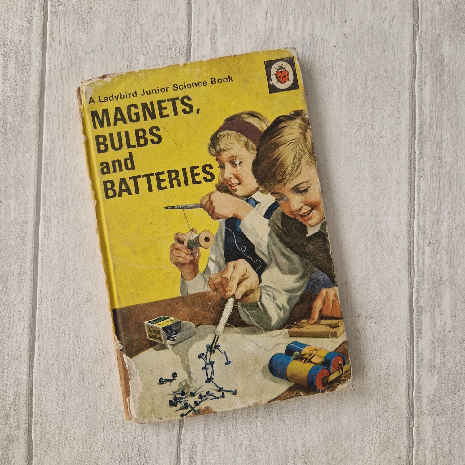 Magnets, Bulbs and Batteries Ladybird Book - science
