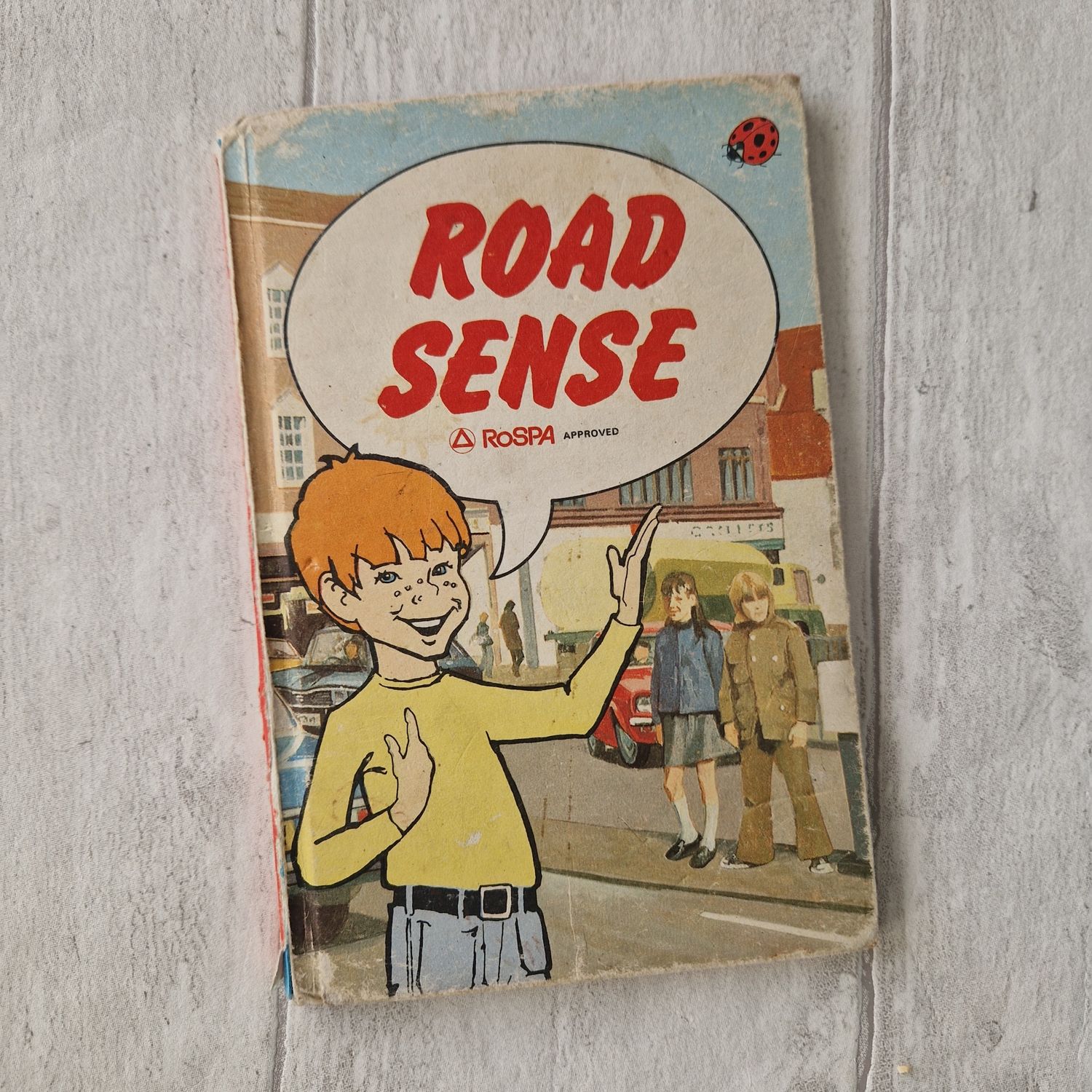 Road Sense Ladybird Book  - Green Cross Code, Driving Instructor