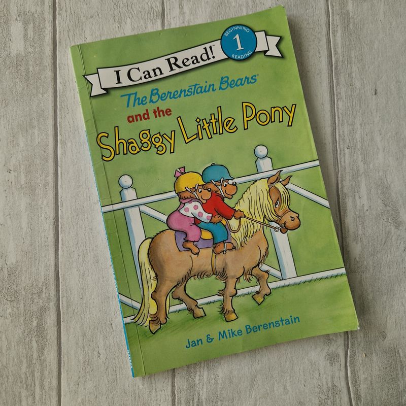 Berenstain Bears and the Shaggy Little Pony Notebook - made from a paperback book and includes metal book corners