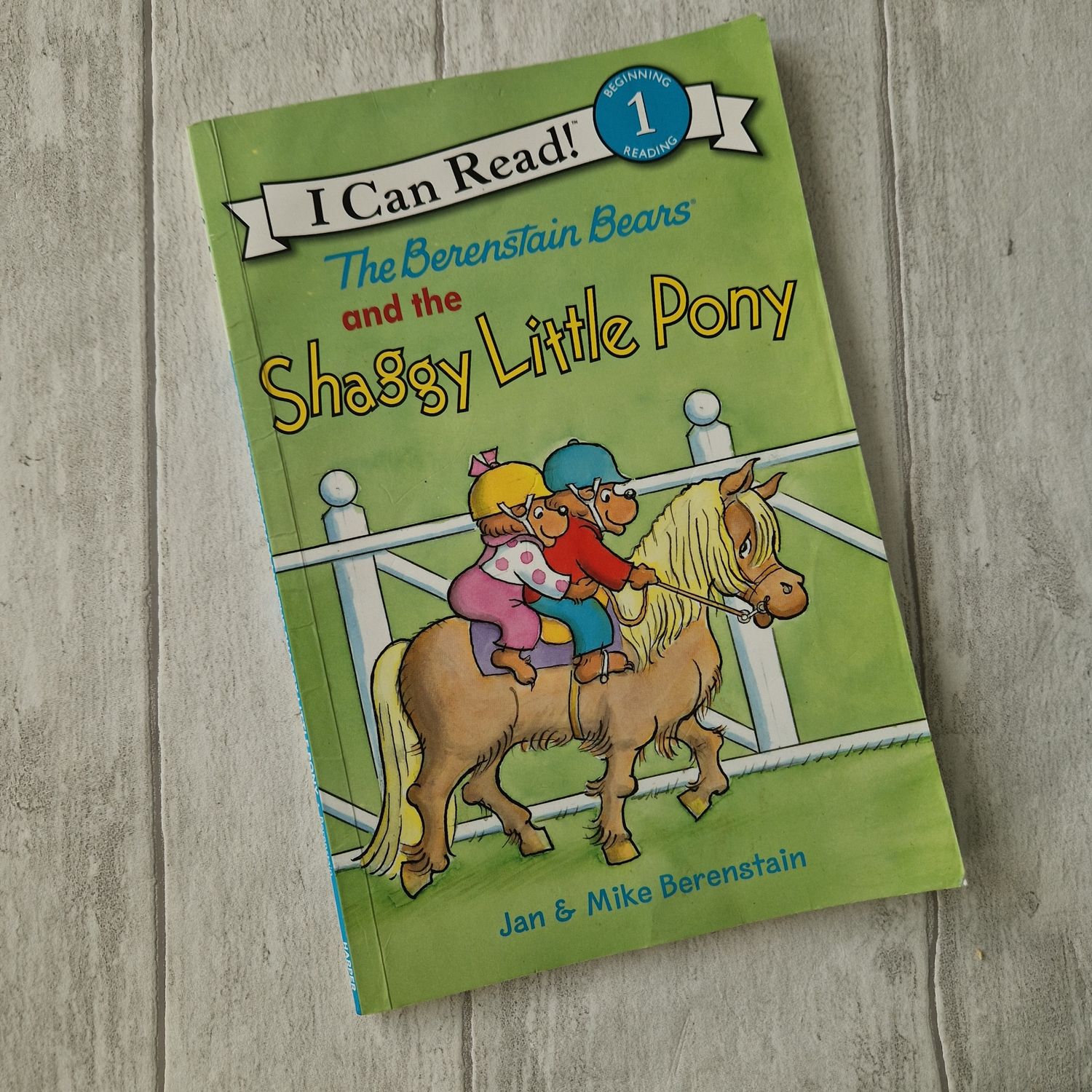 Berenstain Bears and the Shaggy Little Pony Notebook - made from a paperback book and includes metal book corners