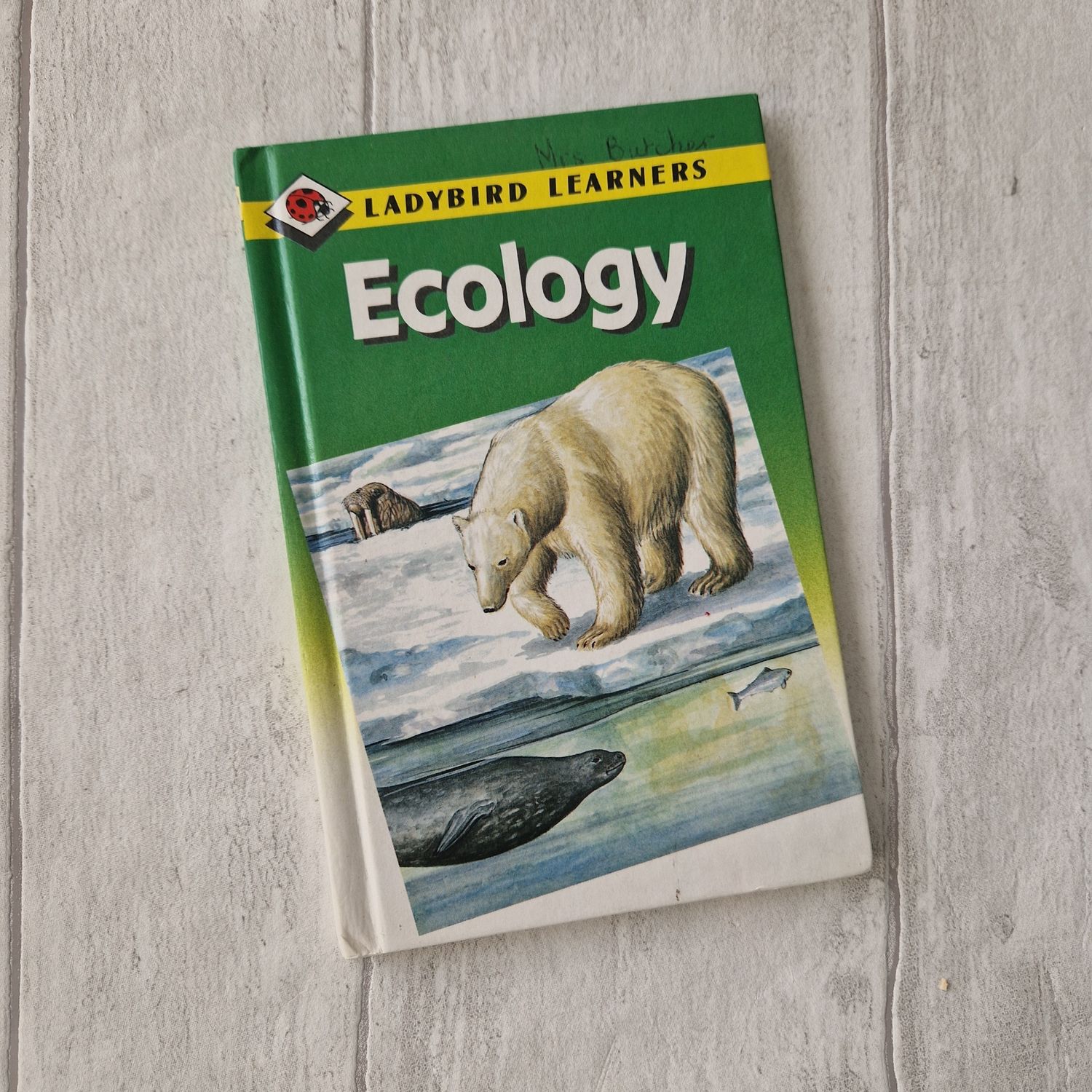 Ecology Ladybird Book - polar bear