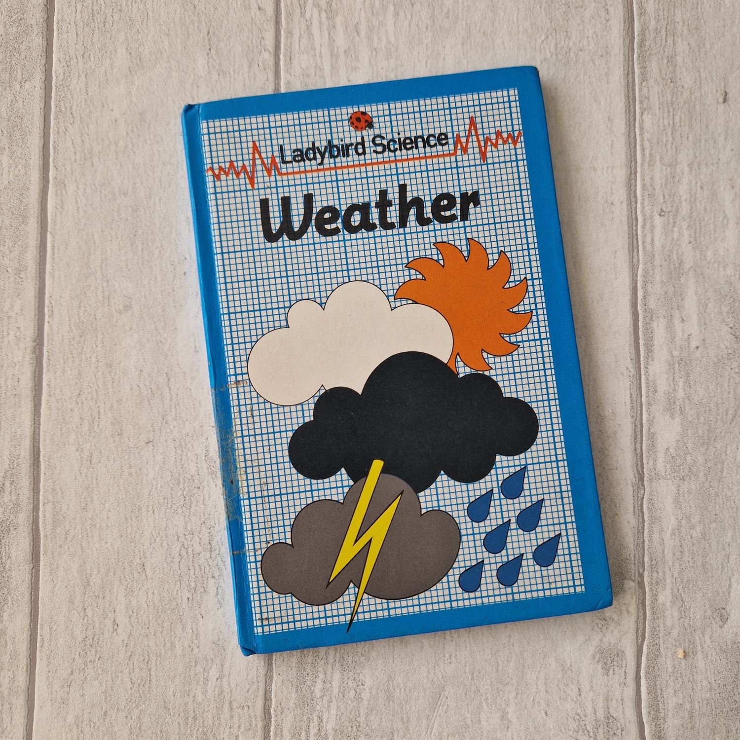 Weather Ladybird Book