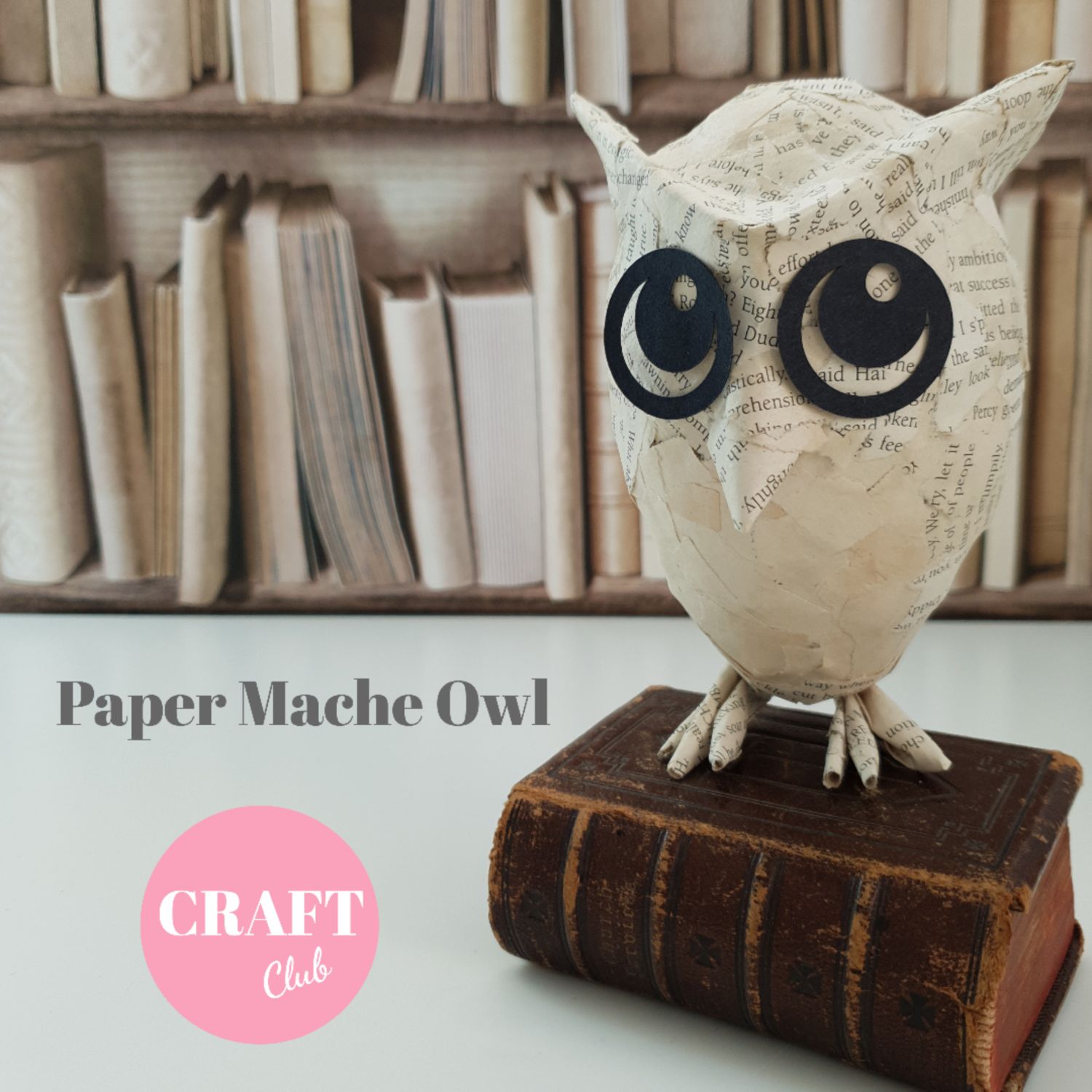 Join The Craft Club - Monthly Subscription - Papier Mache Owl