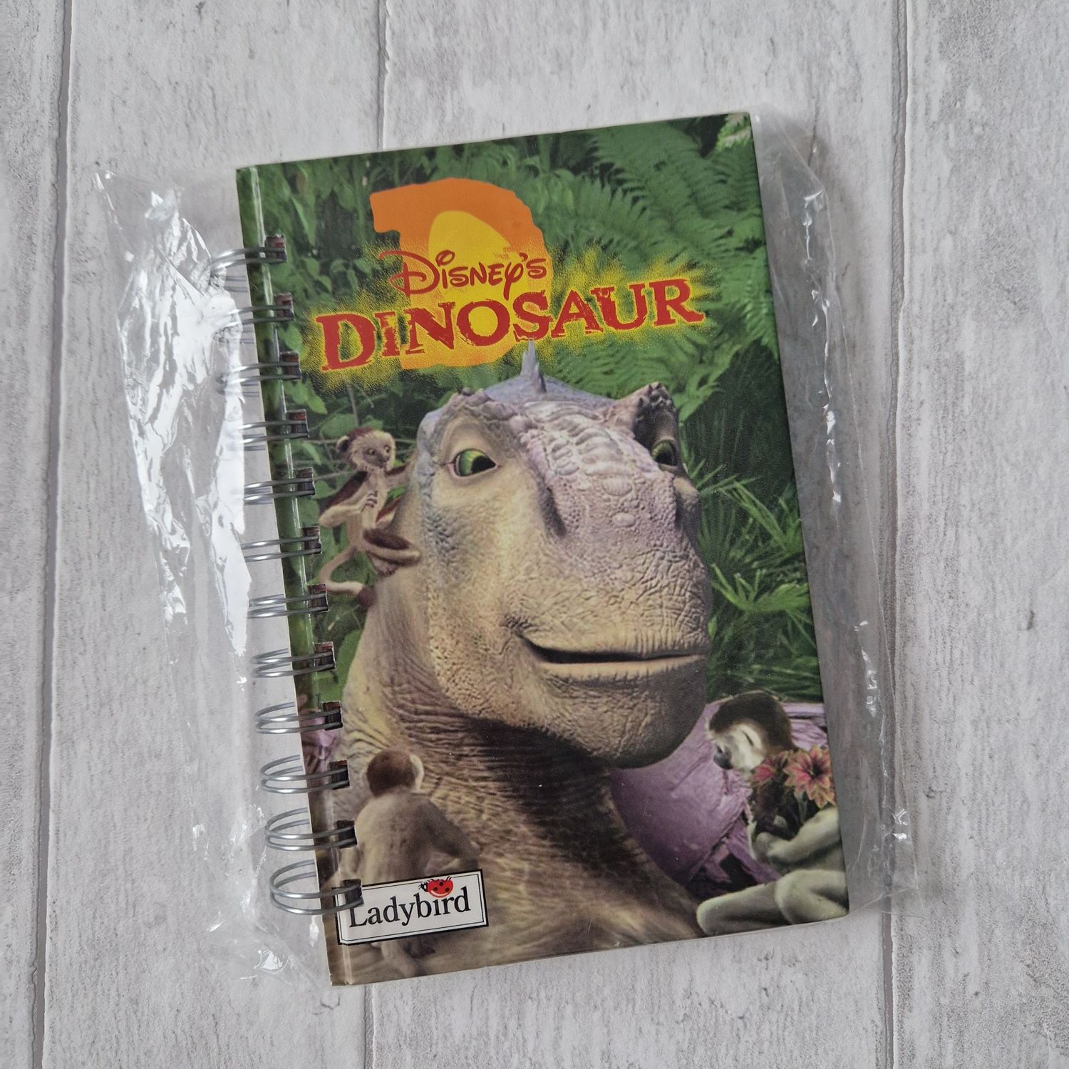 Dinosaur lined notebook - Ladybird Book - READY TO SHIP