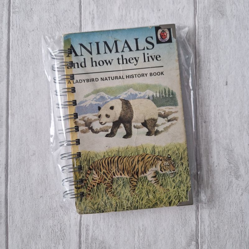 Animals and How the Live - Panda lined notebook - Ladybird Book - READY TO SHIP