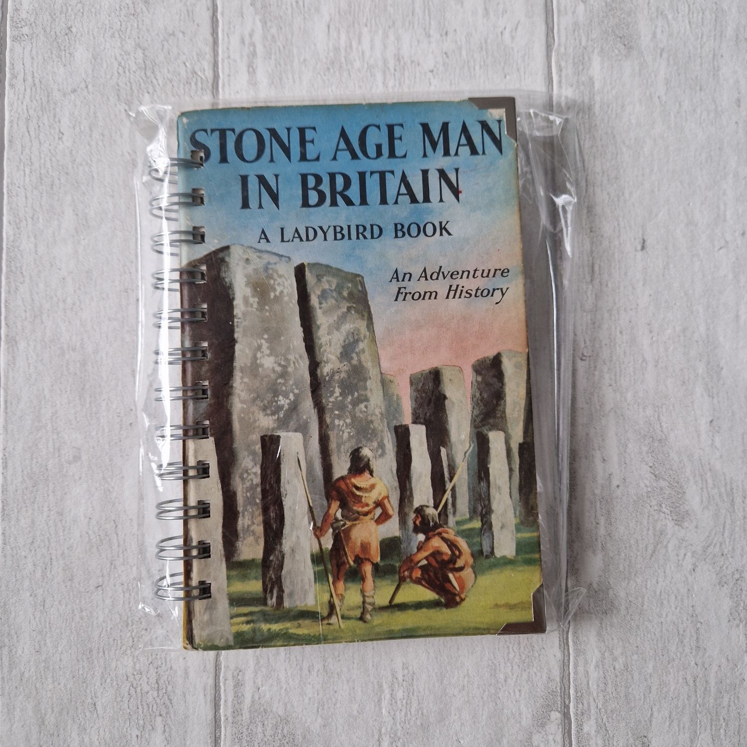 Stone Age Man in Britain - Stone Henge, lined notebook - Ladybird Book - READY TO SHIP