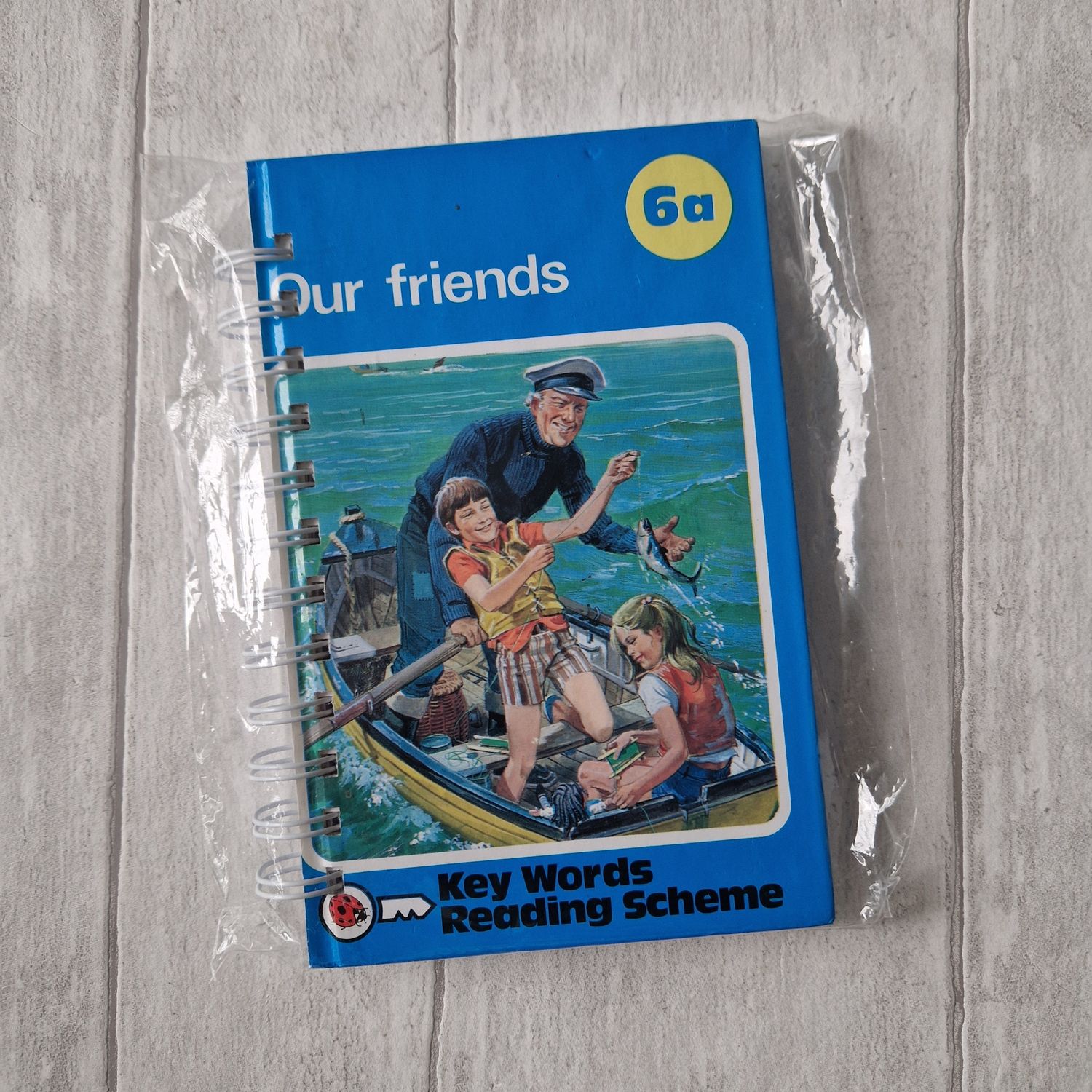 Our Friends - Peter and Jane plain notebook - Ladybird Book - READY TO SHIP