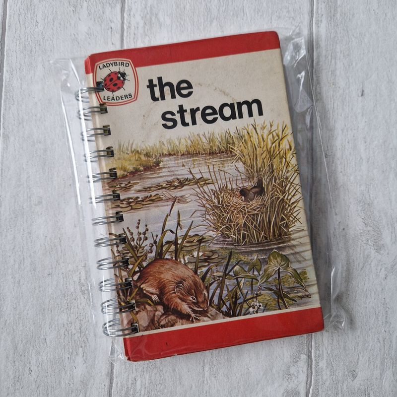 The Stream plain paper notebook - Ladybird Book - READY TO SHIP