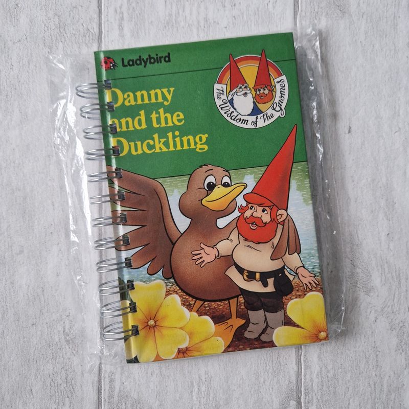 David the Gnome - Danny and the Duckling plain notebook - Ladybird Book - READY TO SHIP