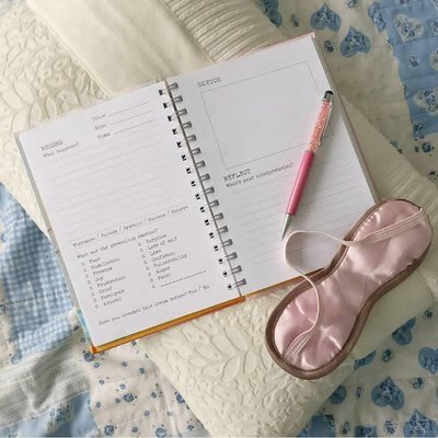 Dreams Diary