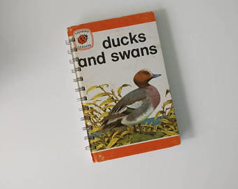 Ducks & Swans Notebook