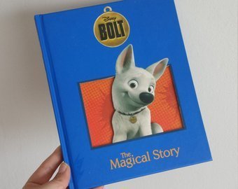 Bolt Notebook