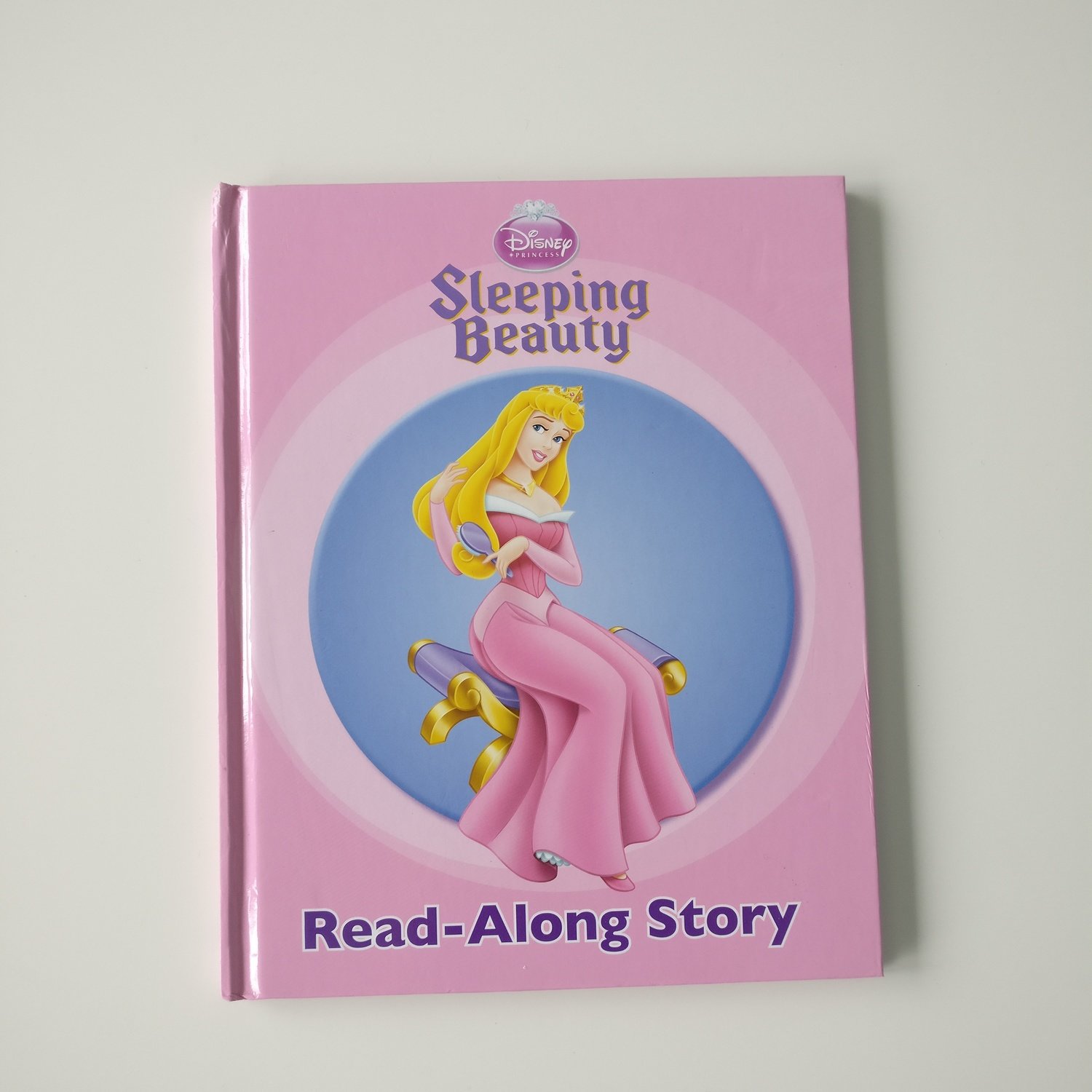 Sleeping Beauty Notebook