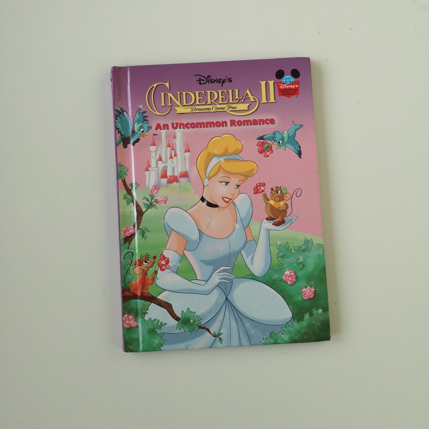 Cinderella II Notebook - an uncommon romance