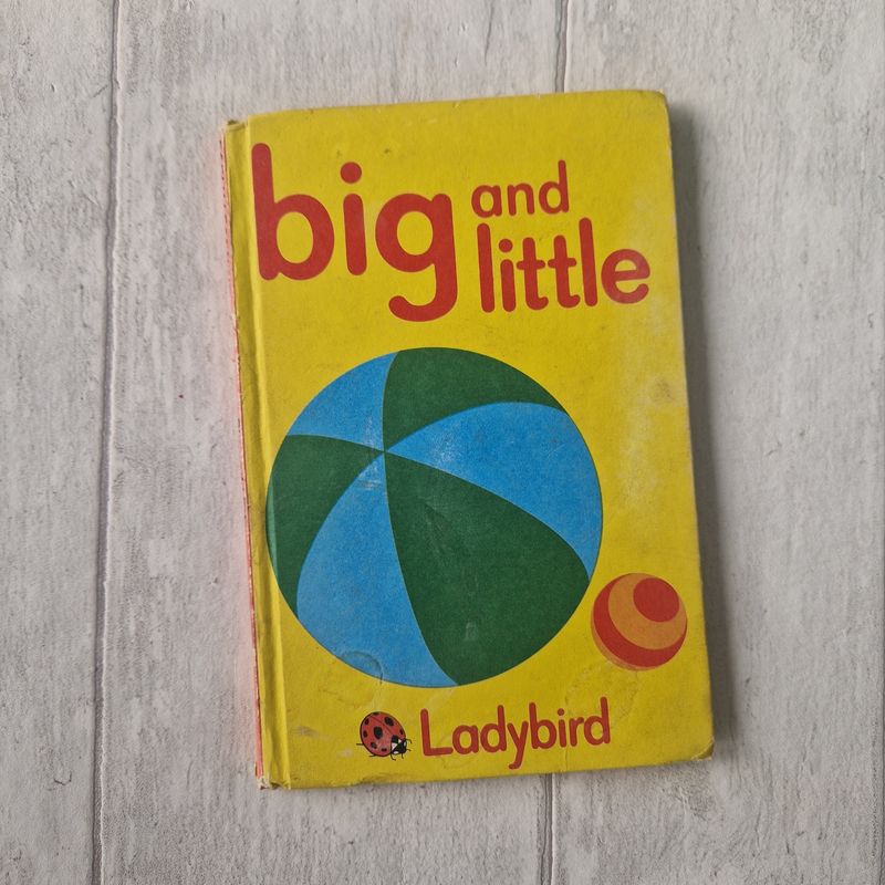 Big and Little Ladybird Book
