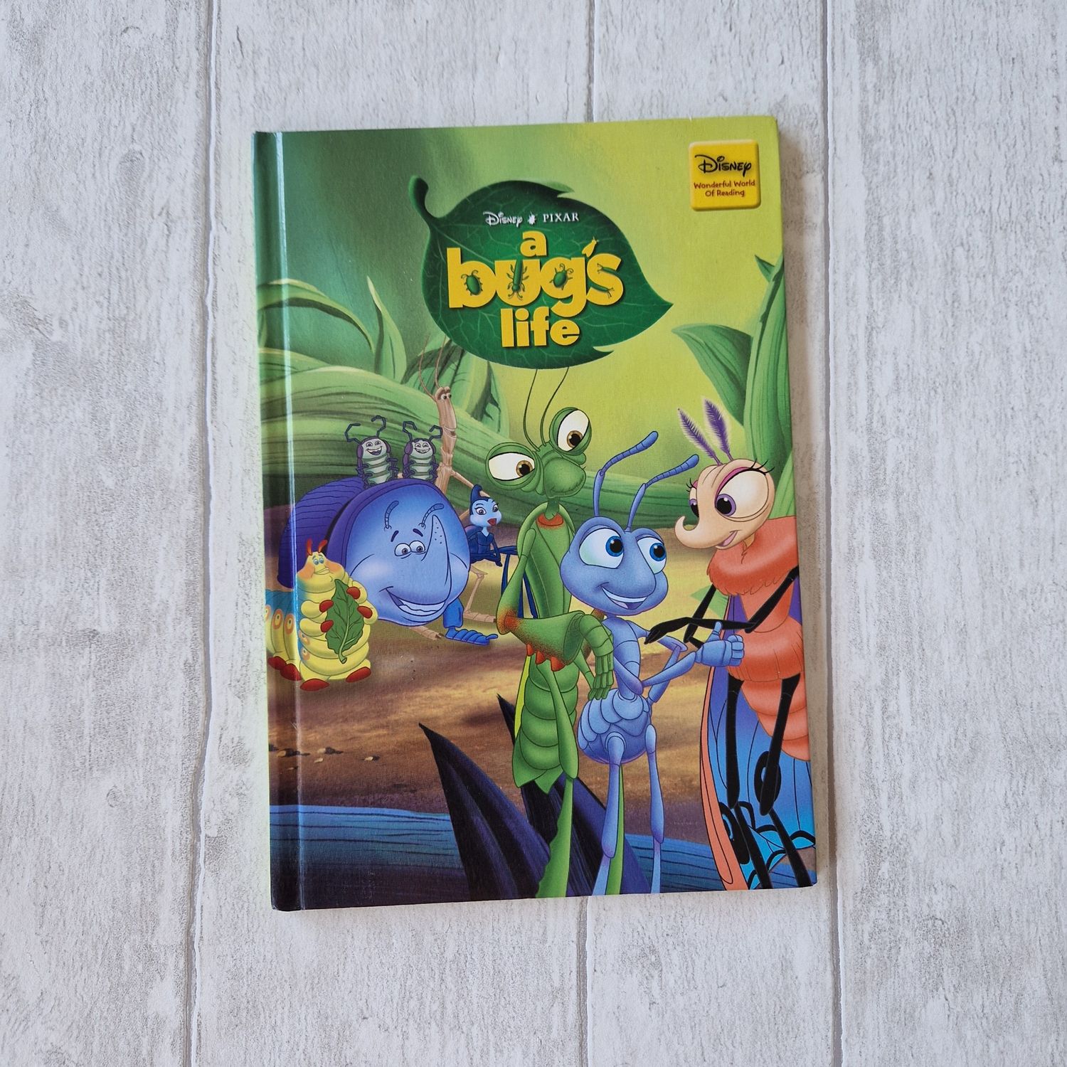 A Bug's Life Notebook