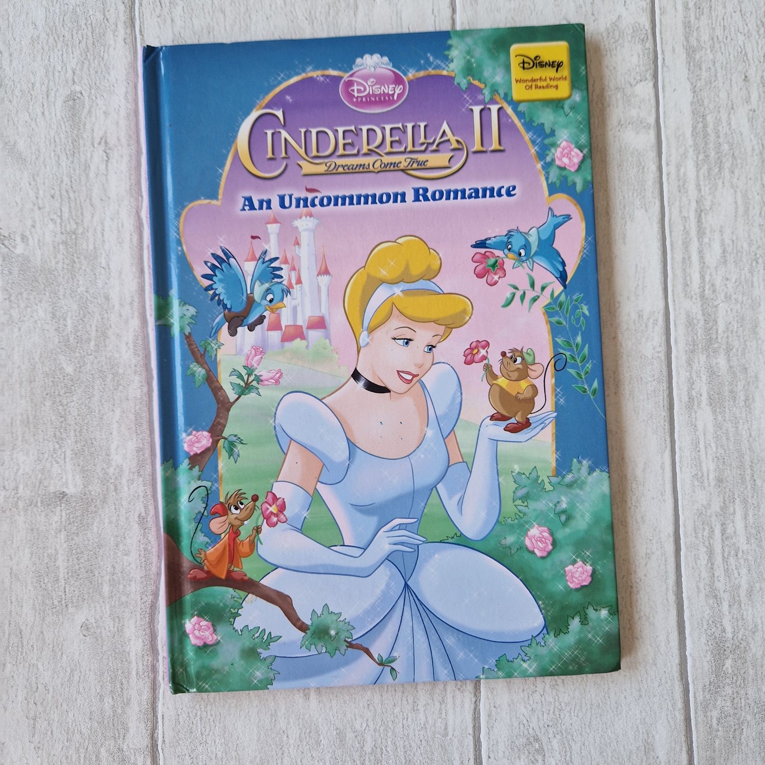 Cinderella 2 An Uncommon Romance Notebook