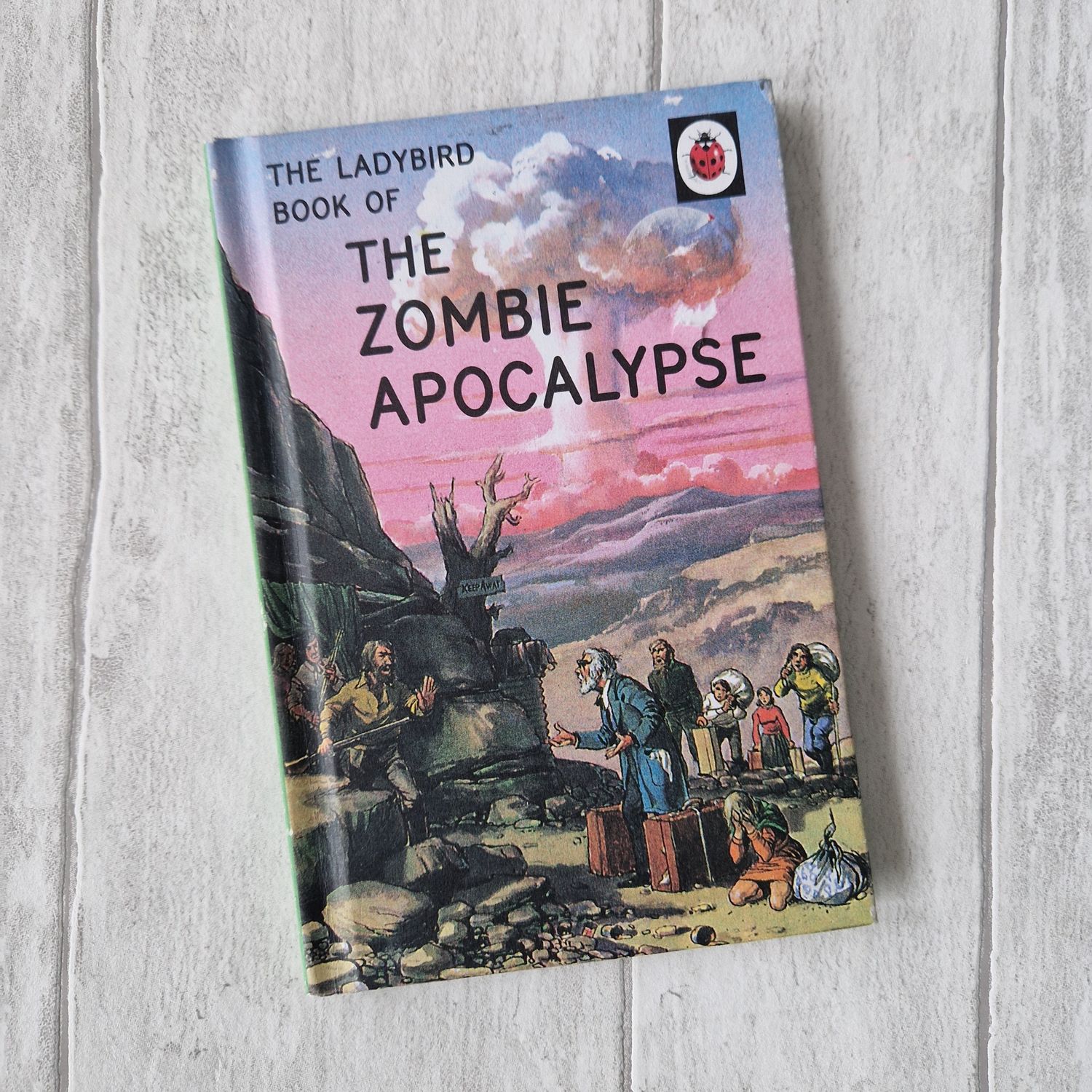 The Zombie Apocalypse - Ladybird Book