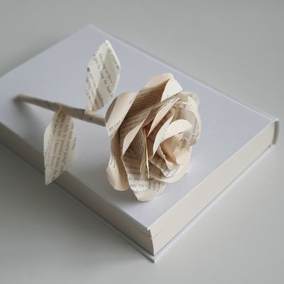 Book Paper Rose Video Tutorial &amp; PDF Download