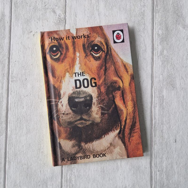 The Dog - Ladybird Book