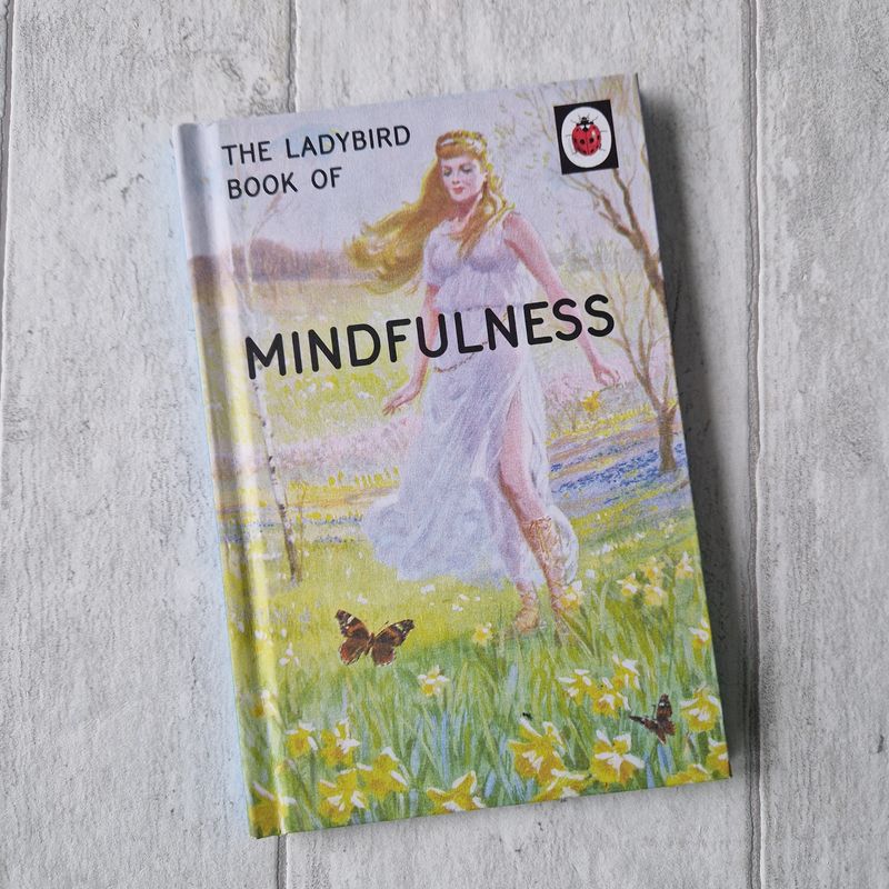 Mindfulness - Ladybird Book