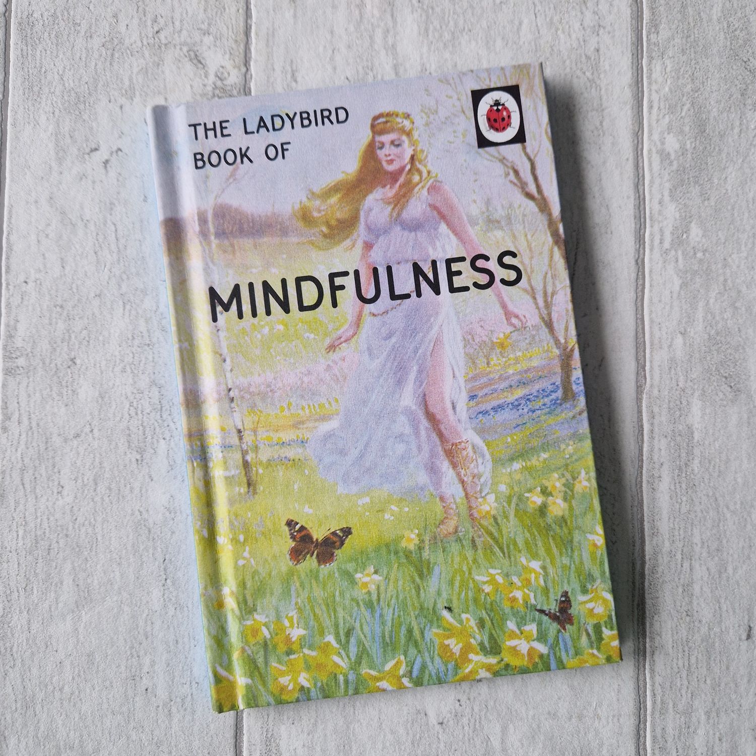 Mindfulness - Ladybird Book
