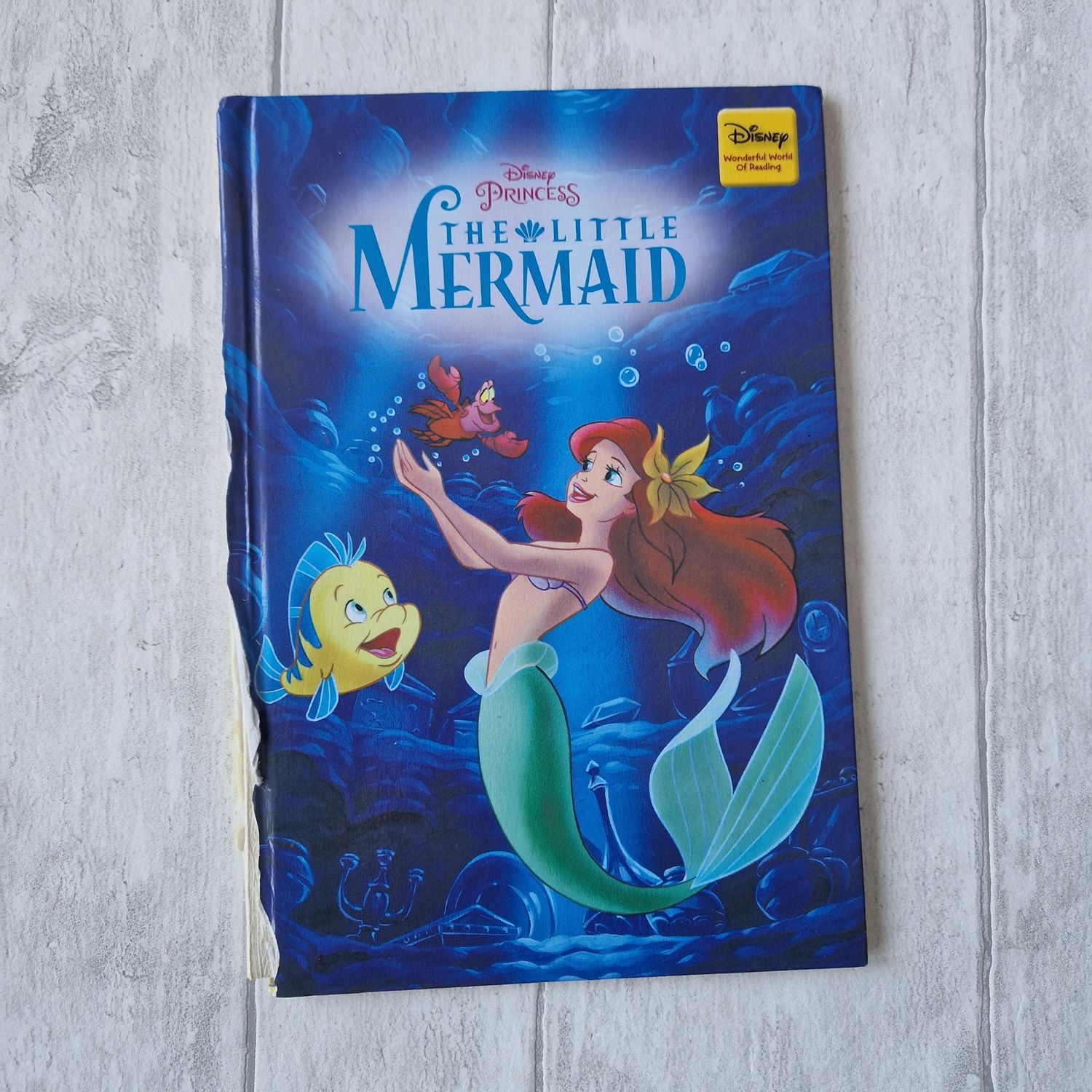 Little Mermaid Notebook