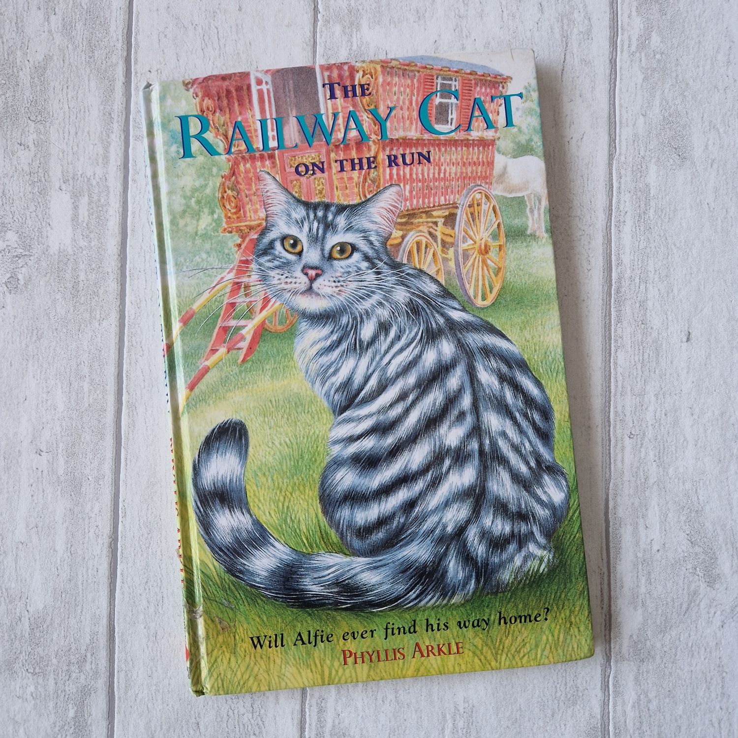 The Railway Cat 1996