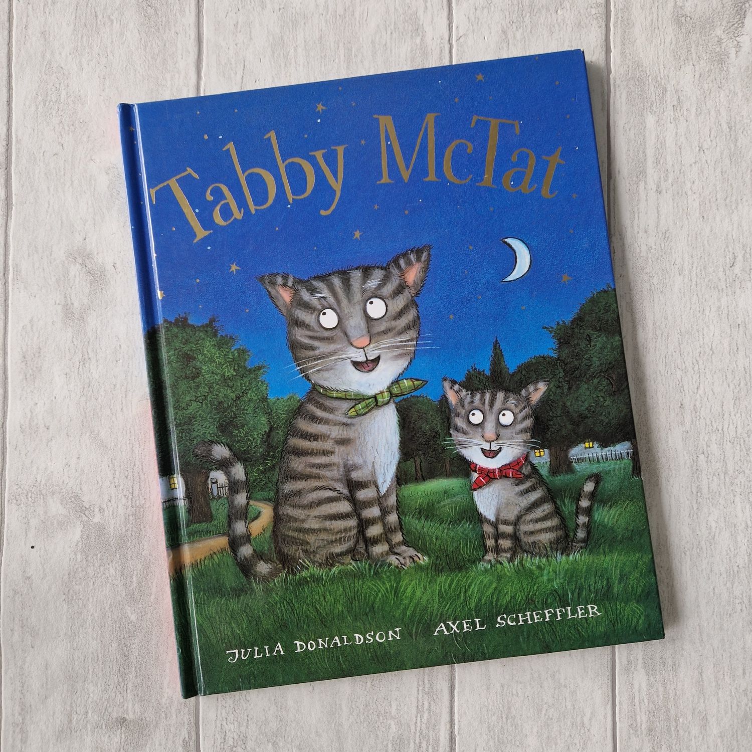 Tabby McTat by Julia Donaldson &amp; Axel Scheffler cat