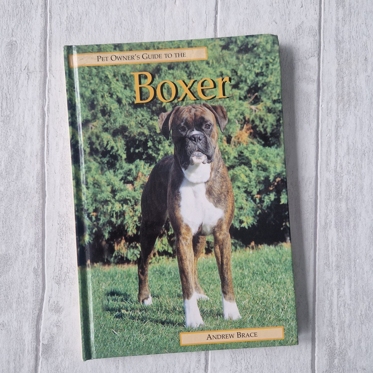 Boxer  - dog