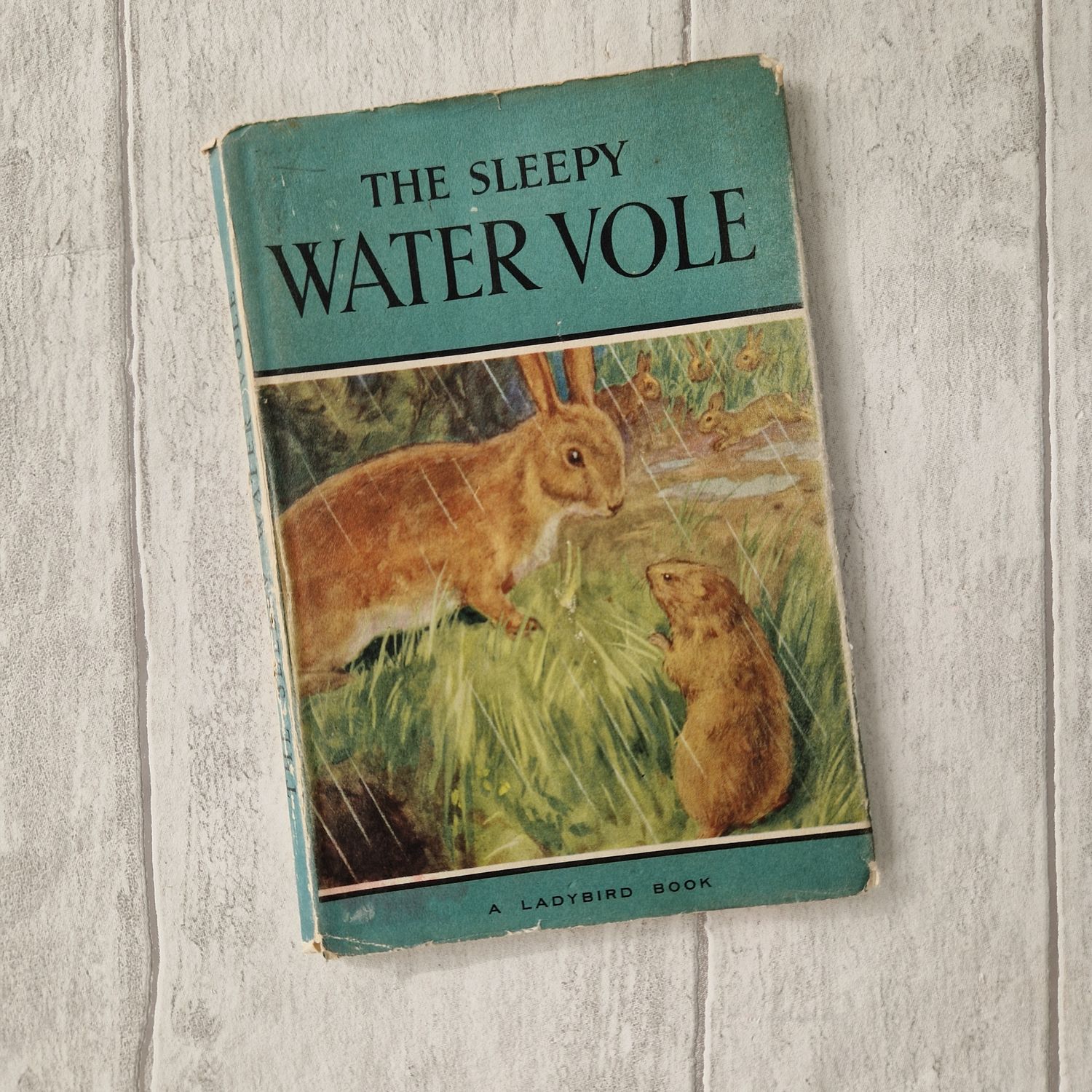 The Sleepy Water Vole Ladybird Book - made from a dust jacket