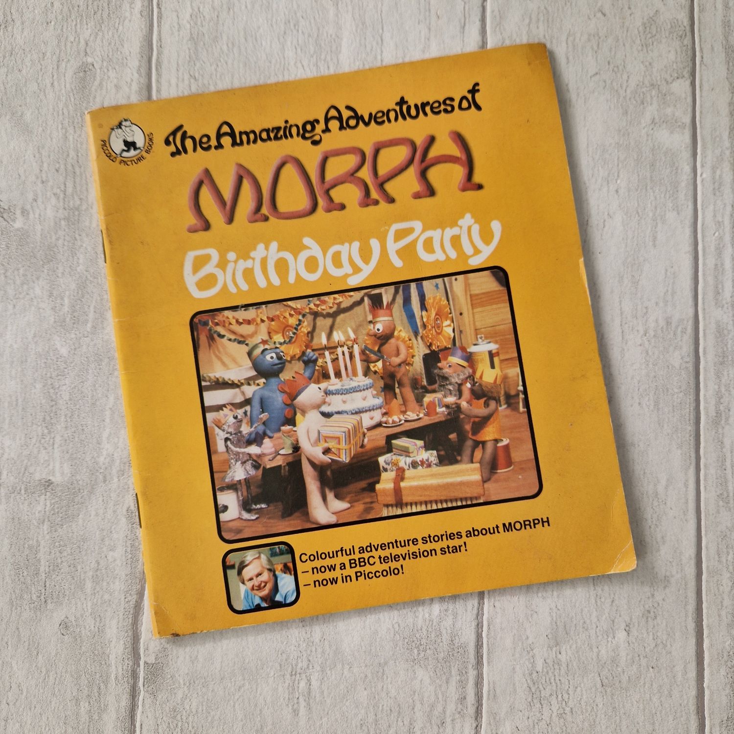 The Amazing Adventures of Morph Birthday Party  1984  made from a paperback book