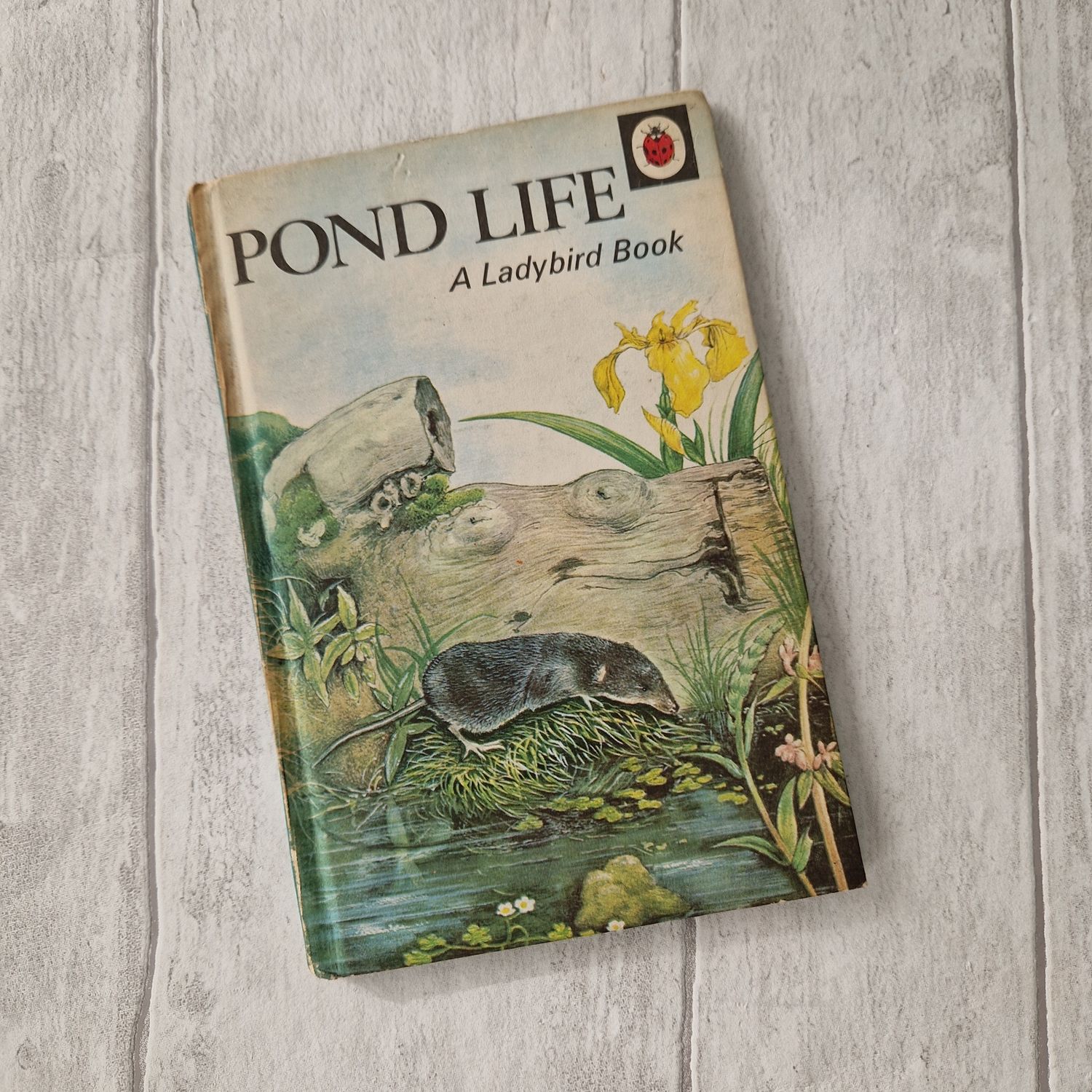 Pond Life Ladybird Book