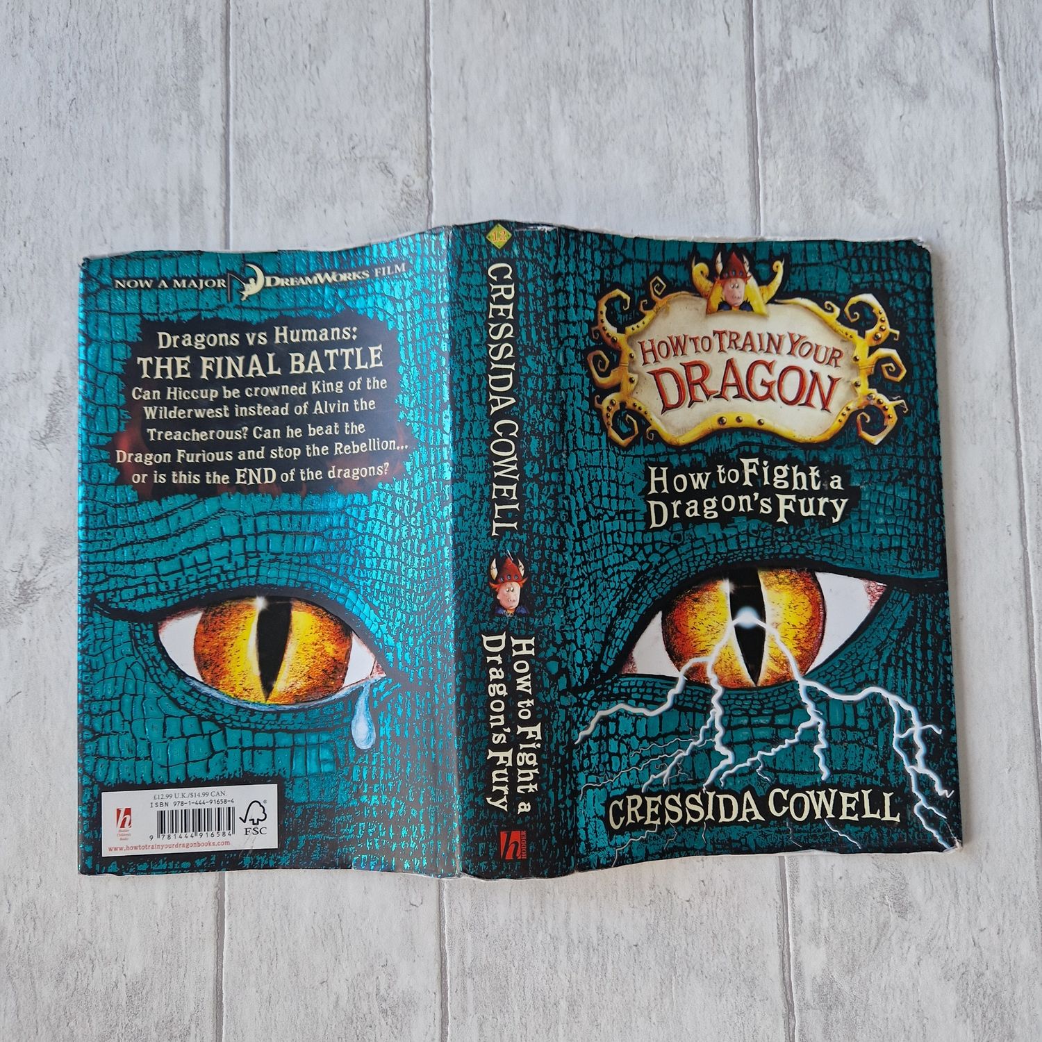 How to Train Your Dragon Cressida Cowell - made from a dust jacket