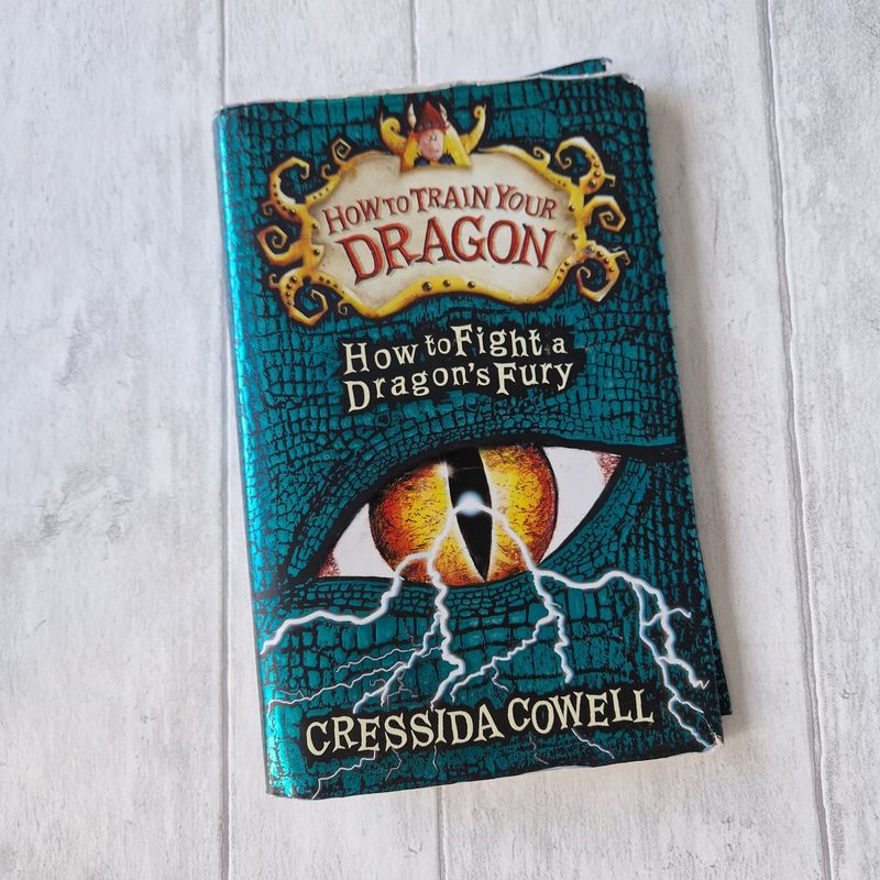 How to Train Your Dragon Cressida Cowell - made from a dust jacket