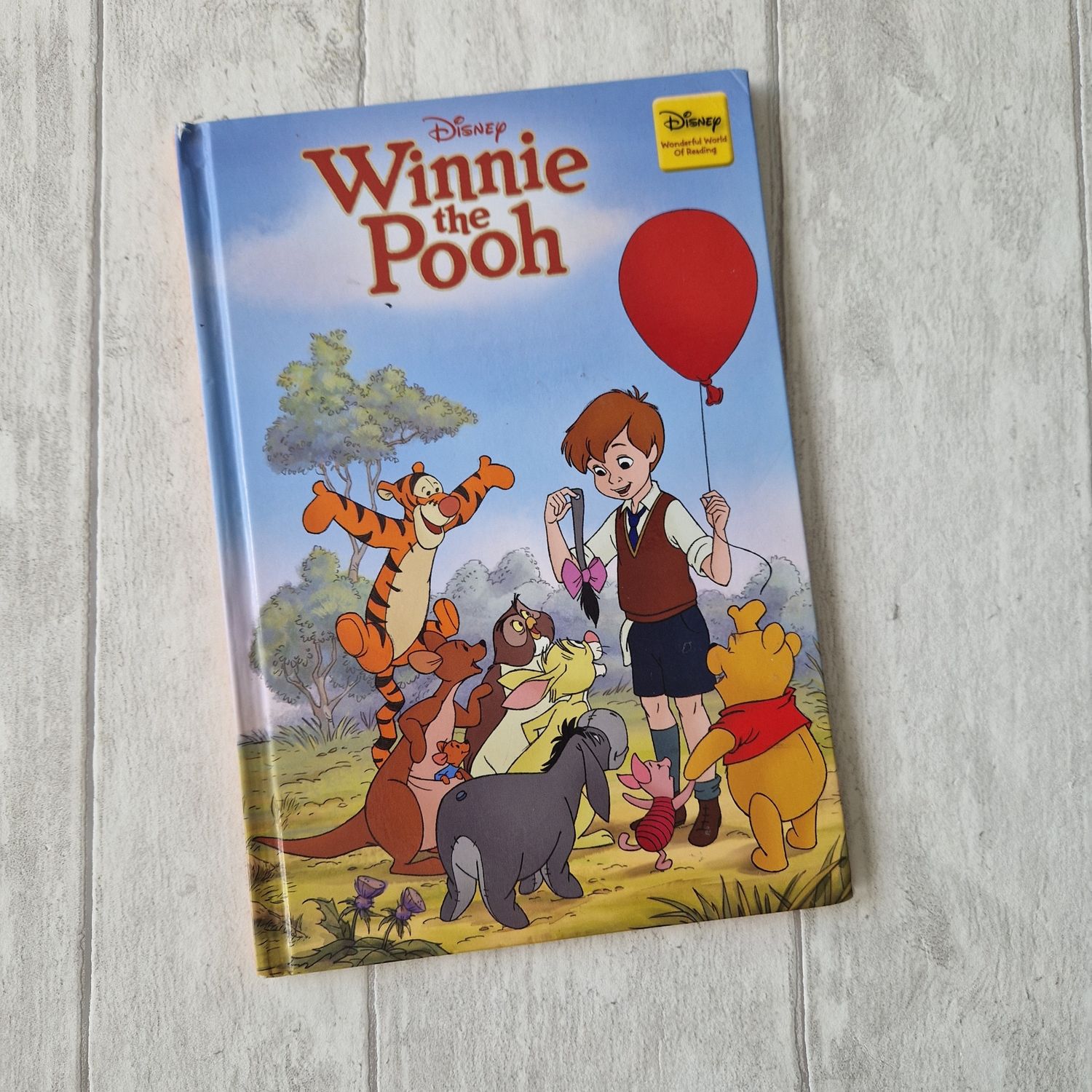 Winnie the Pooh Notebook