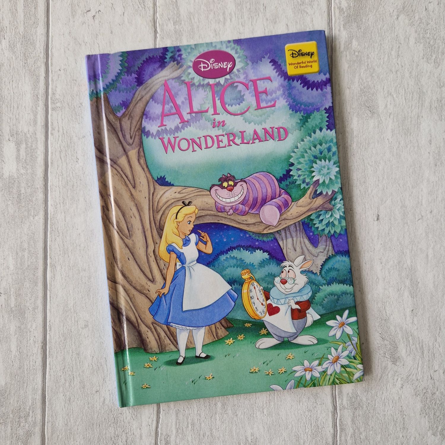 Alice in Wonderland Notebook