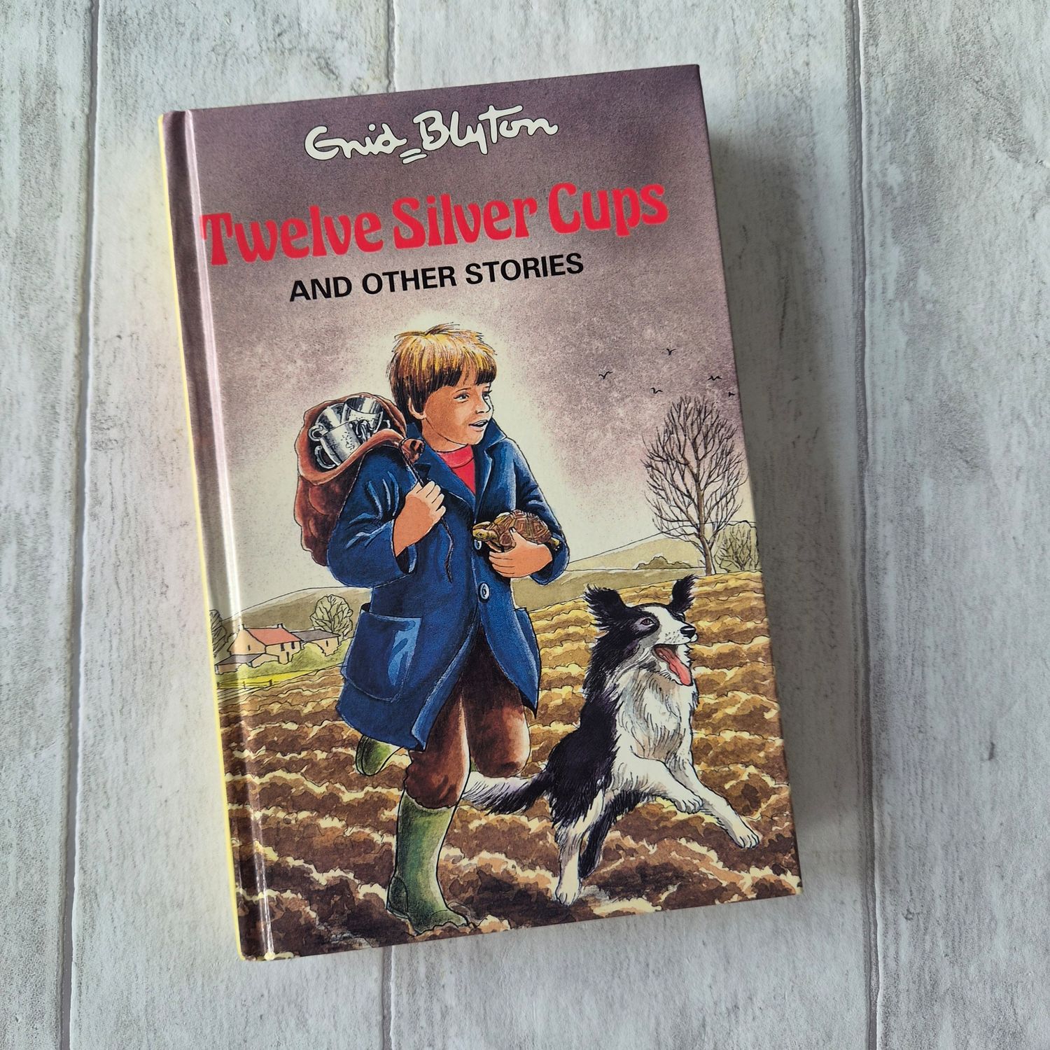 Twelve Silver Cups by Enid Blyton