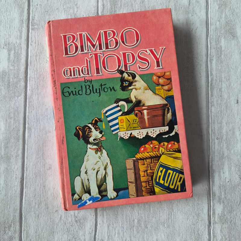 Bimbo and Topsy by Enid Blyton Cat and dog