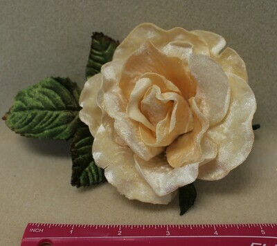 Creamy Velvet Rose