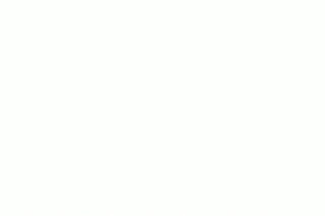 Calamari