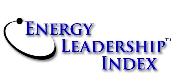 8. 360 Energy Leadership Index Assessment