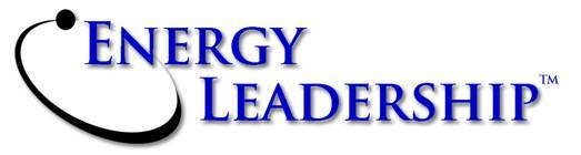 6. Energy Leadership Development System Kit (1 segment)