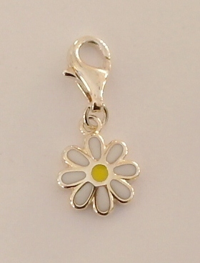 Sterling silver charm