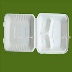8" x 8" x 3" Sugar Cane Clamshell (Three Compartment) - 200/case