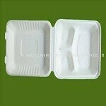 9" x 9" x 3" Sugar Cane Clamshell (Three Compartment) - 200/case
