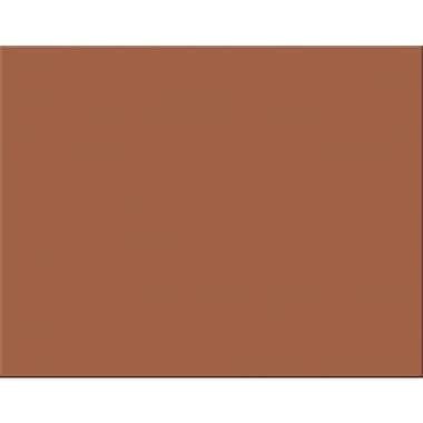 Pacon 4-Ply Railroad Poster Board, Brown, 25/Pack