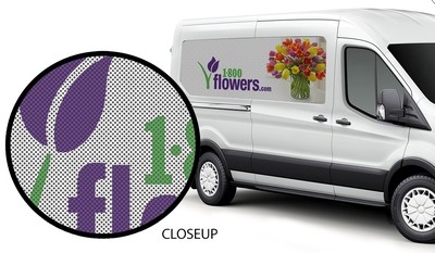 See Through Window Graphics