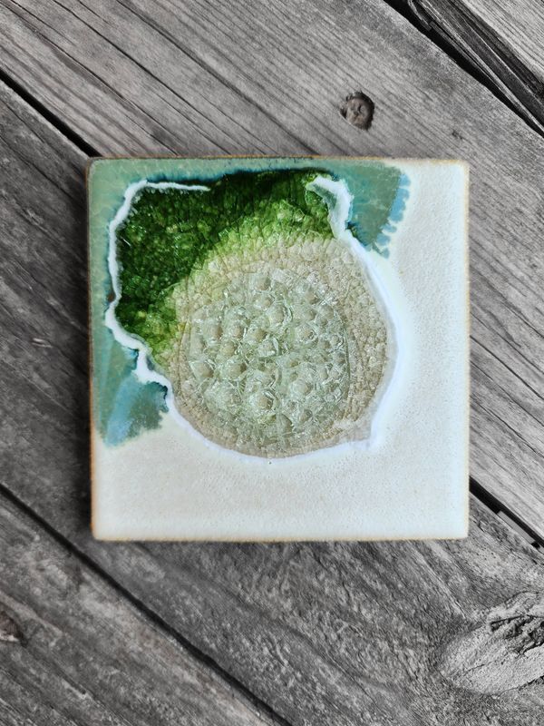 Square Coaster - Fern - Individual Coaster